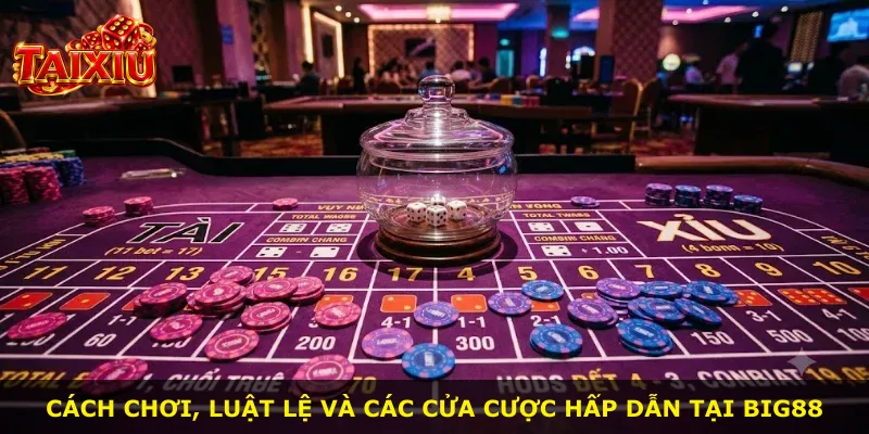 Cách chơi, luật lệ và các cửa cược hấp dẫn tại Big88