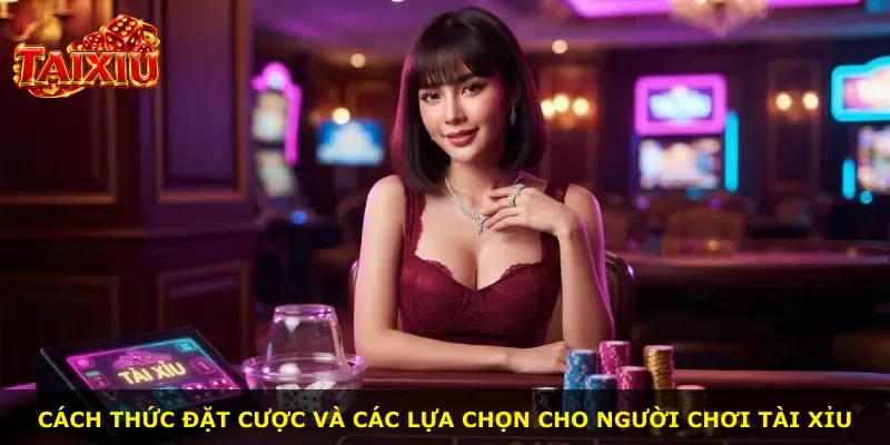 Cách thức đặt cược và các lựa chọn cho người chơi Tài Xỉu