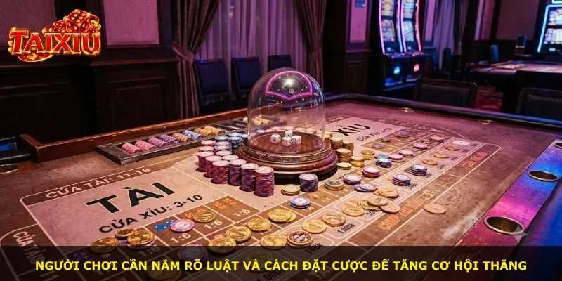 Người chơi cần nắm rõ luật và cách đặt cược để tăng cơ hội thắng